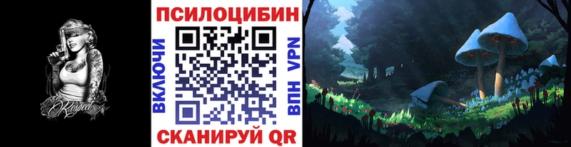 купить наркотик  Саранск  кракен как зайти  Галлюциногенные грибы Psilocybe 